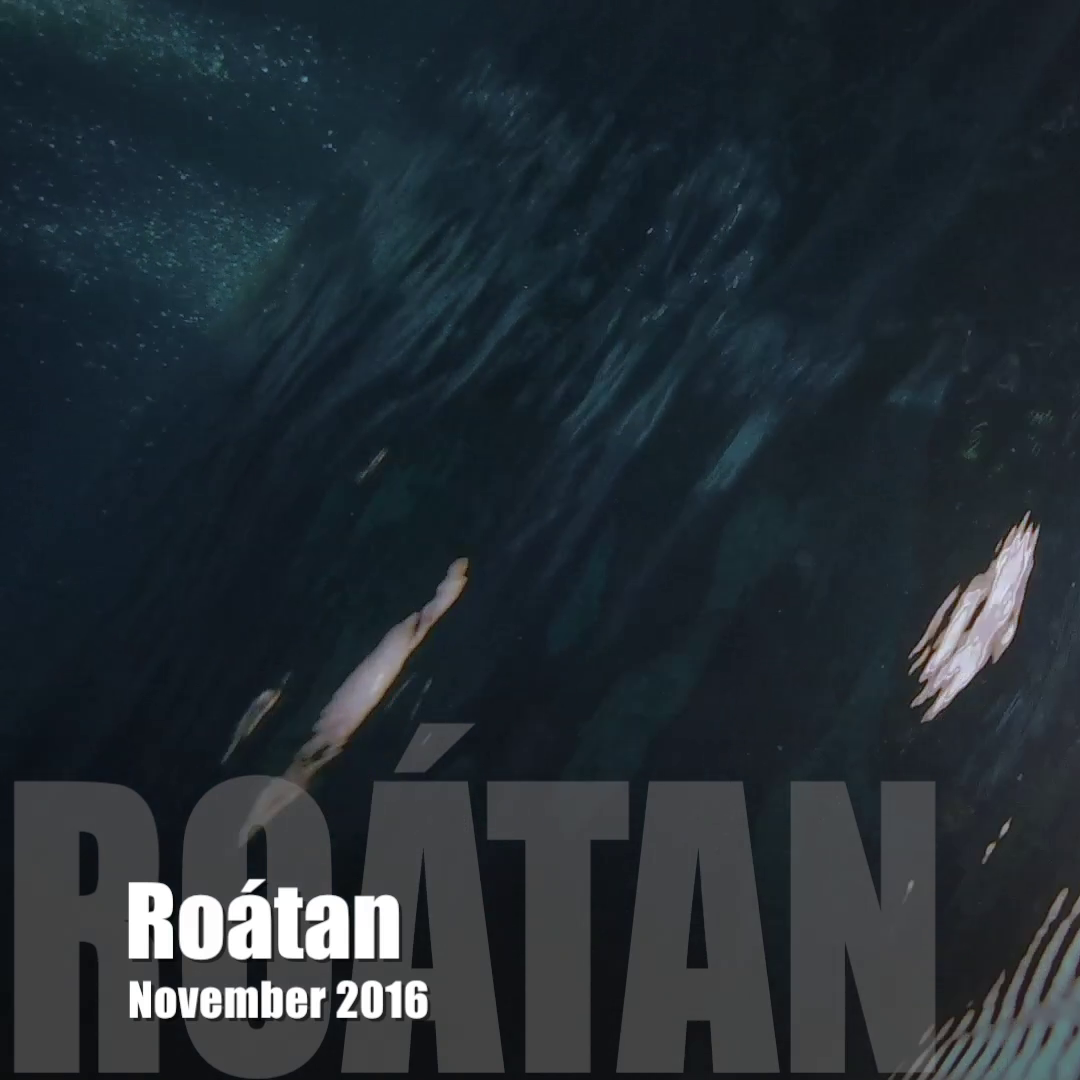 Roatan 2016 - Short Version